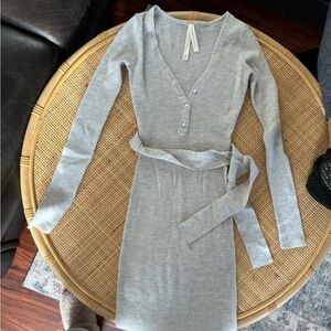 Aritzia Babaton Dress